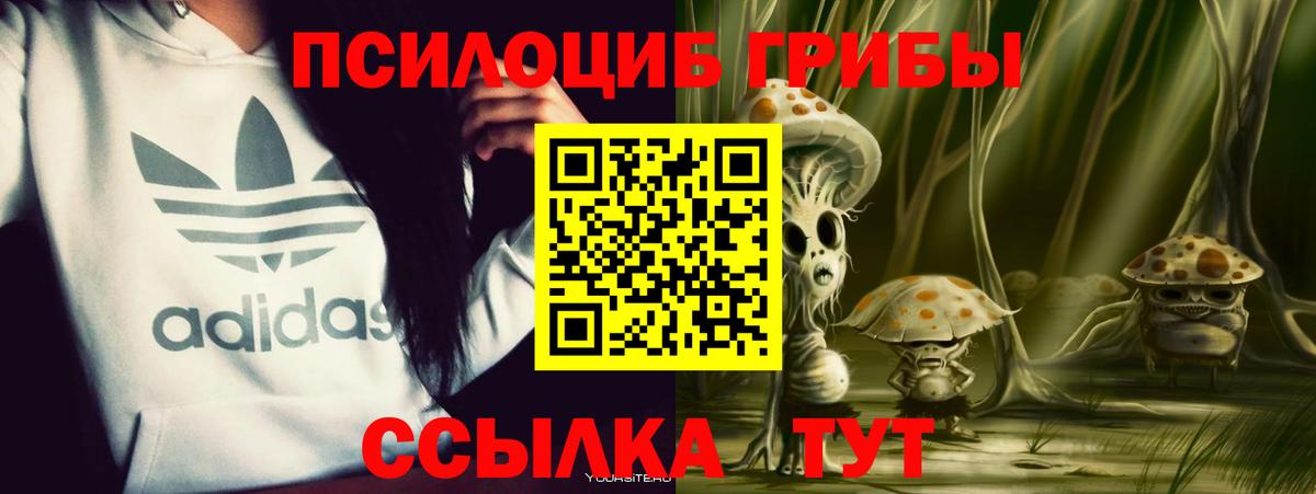 Галлюциногенные грибы Magic Shrooms Кириши